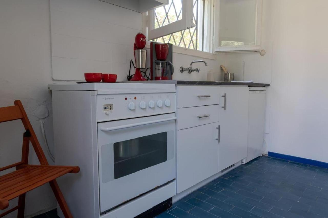 Olive Terra Holiday Aparments Διαμέρισμα